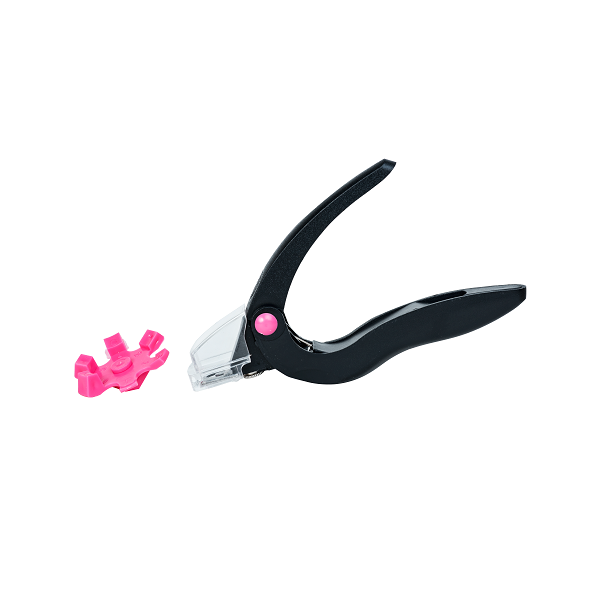 Mcroyalty - Corta Tips