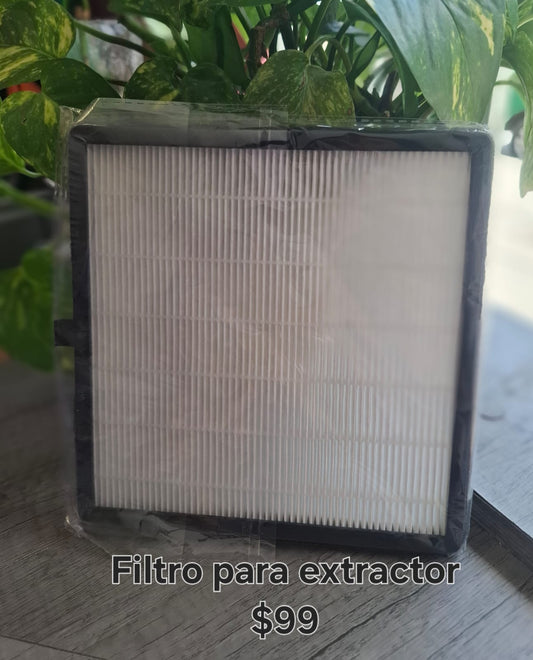 Filtro para extractor